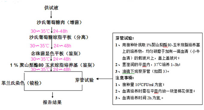 白色念珠菌檢測流程 白色念珠菌檢測流程