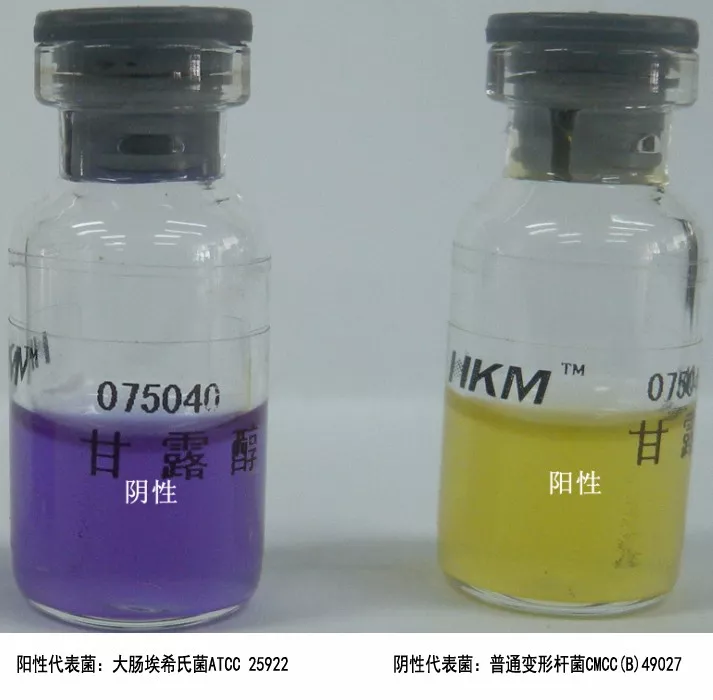 甘露醇發酵試驗