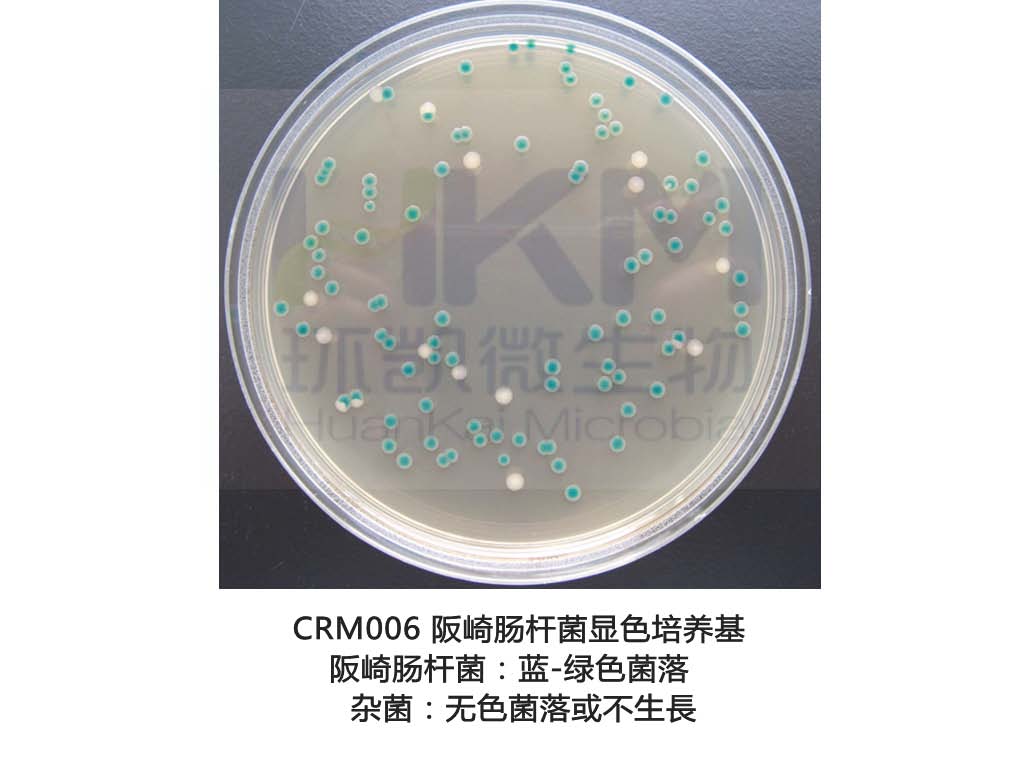 阪崎腸桿菌顯色培養基(DFI瓊脂)生物圖冊