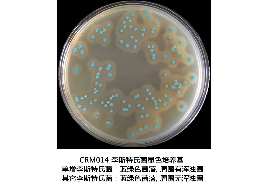李斯特氏菌顯色培養基生物圖冊