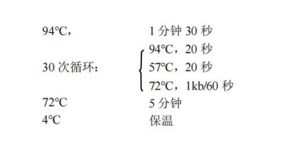 常用PCR 循環