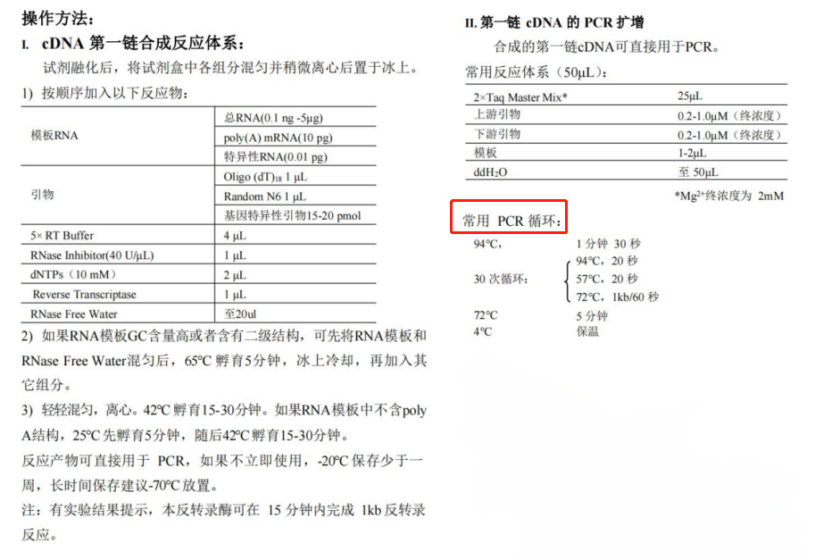 逆轉錄酶操作方法與常用PCR循環