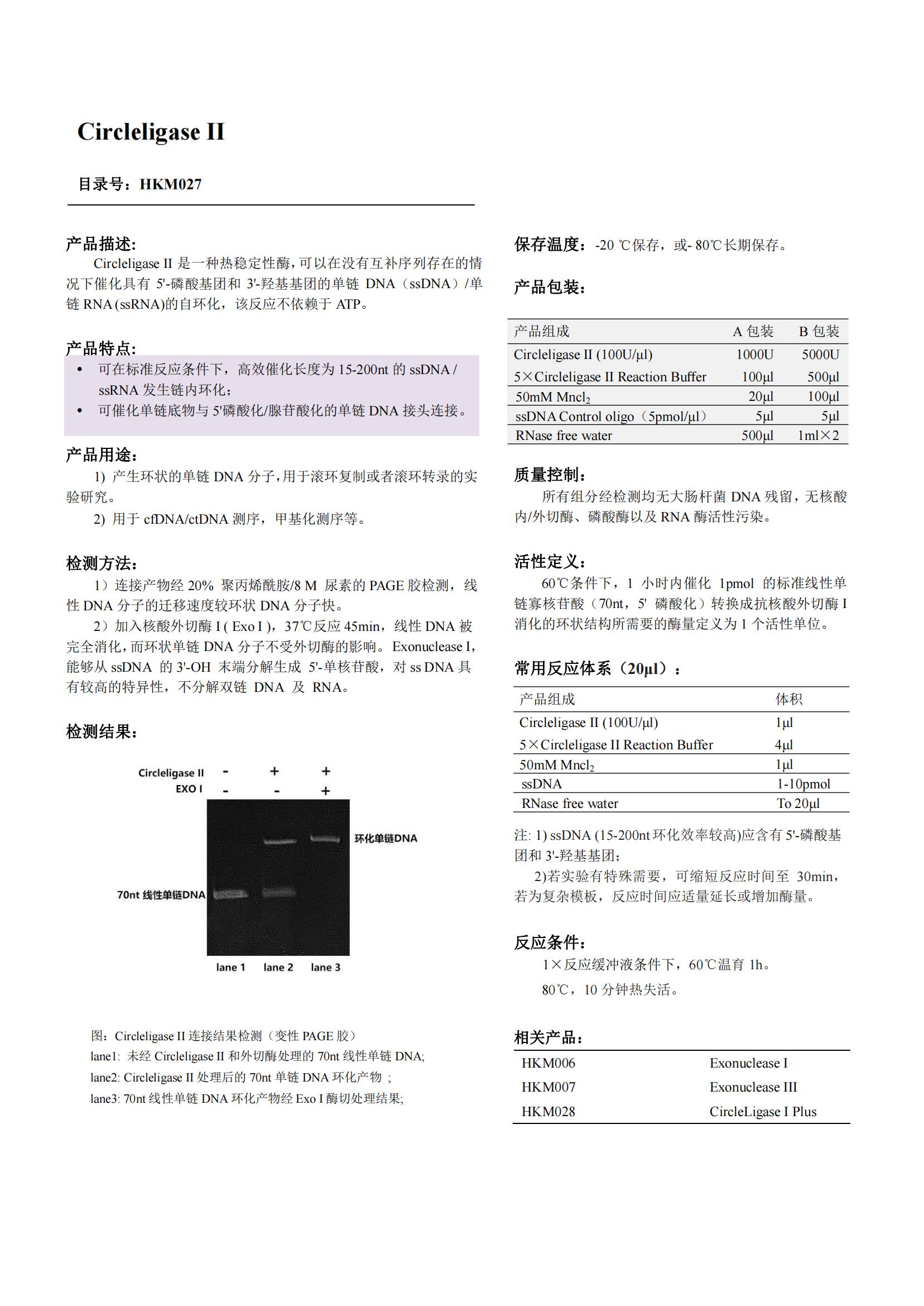 Circleligase Ⅱ（環狀連接酶）產品說明書