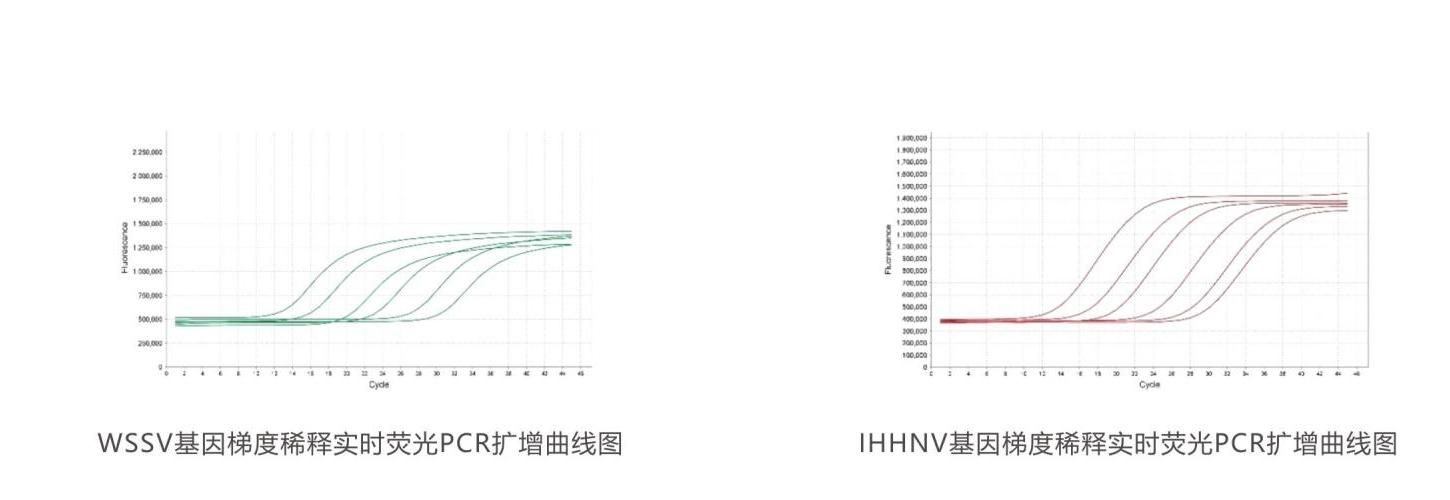 實時熒光PCR檢測試劑盒結果判讀