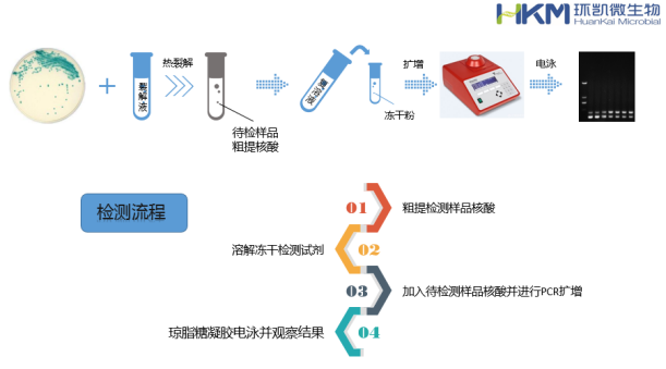 環凱微生物快檢試劑盒操作示意圖