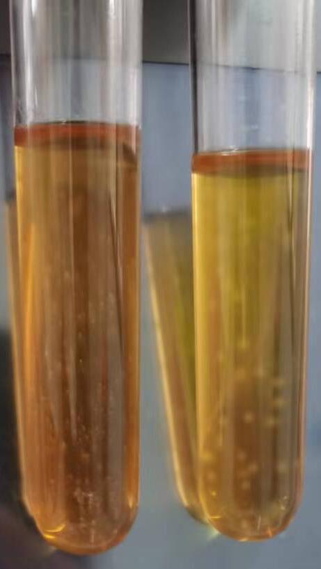 精氨酸支原體半流體培養基（管型） 8mL×20管