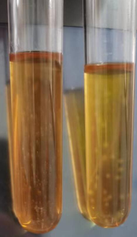 支原體半流體培養基（管型） 8mL×20管