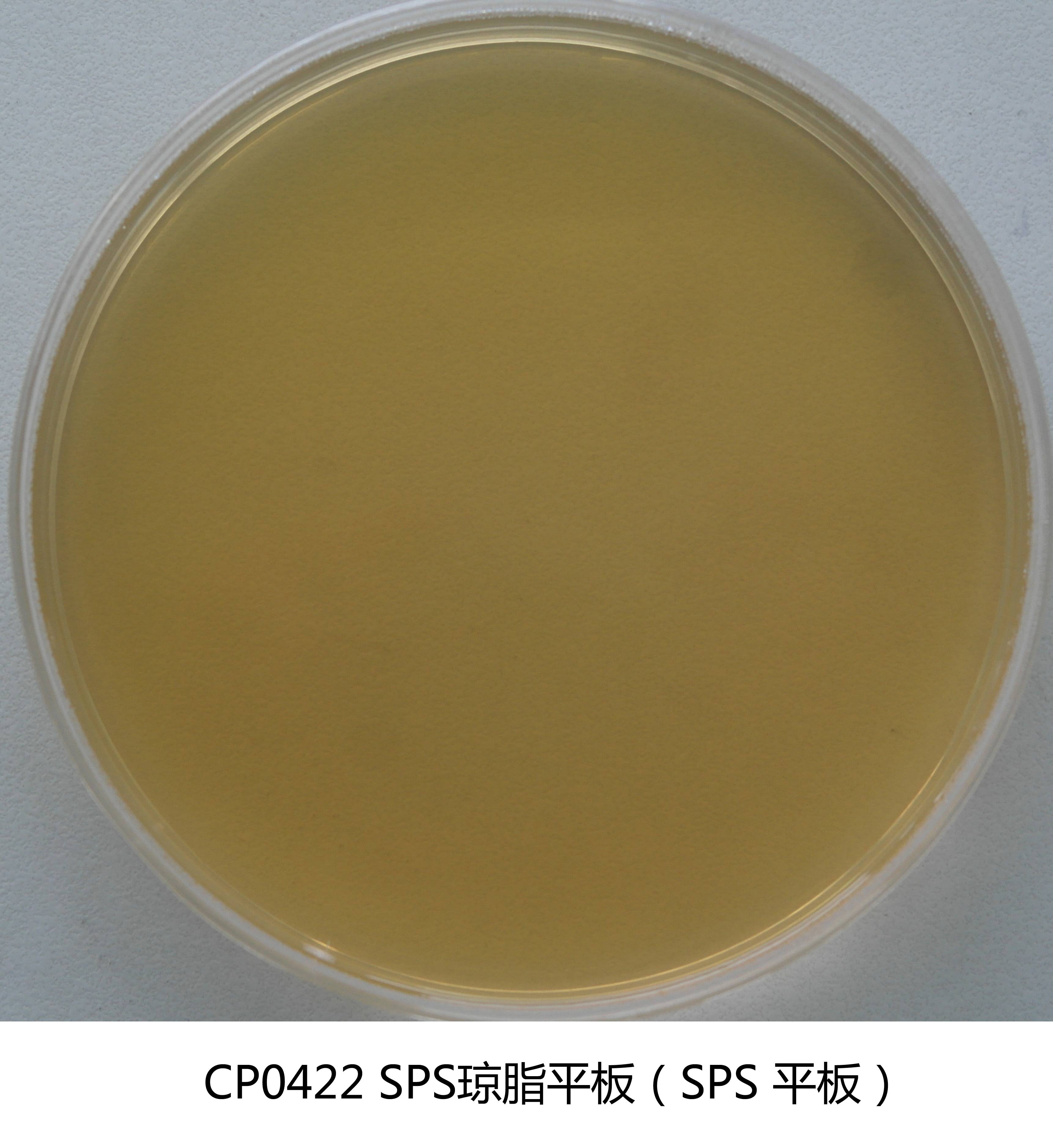 SPS瓊脂平板培養基(亞硫酸鹽-多粘菌素-磺胺嘧啶瓊脂) 90mm×20個