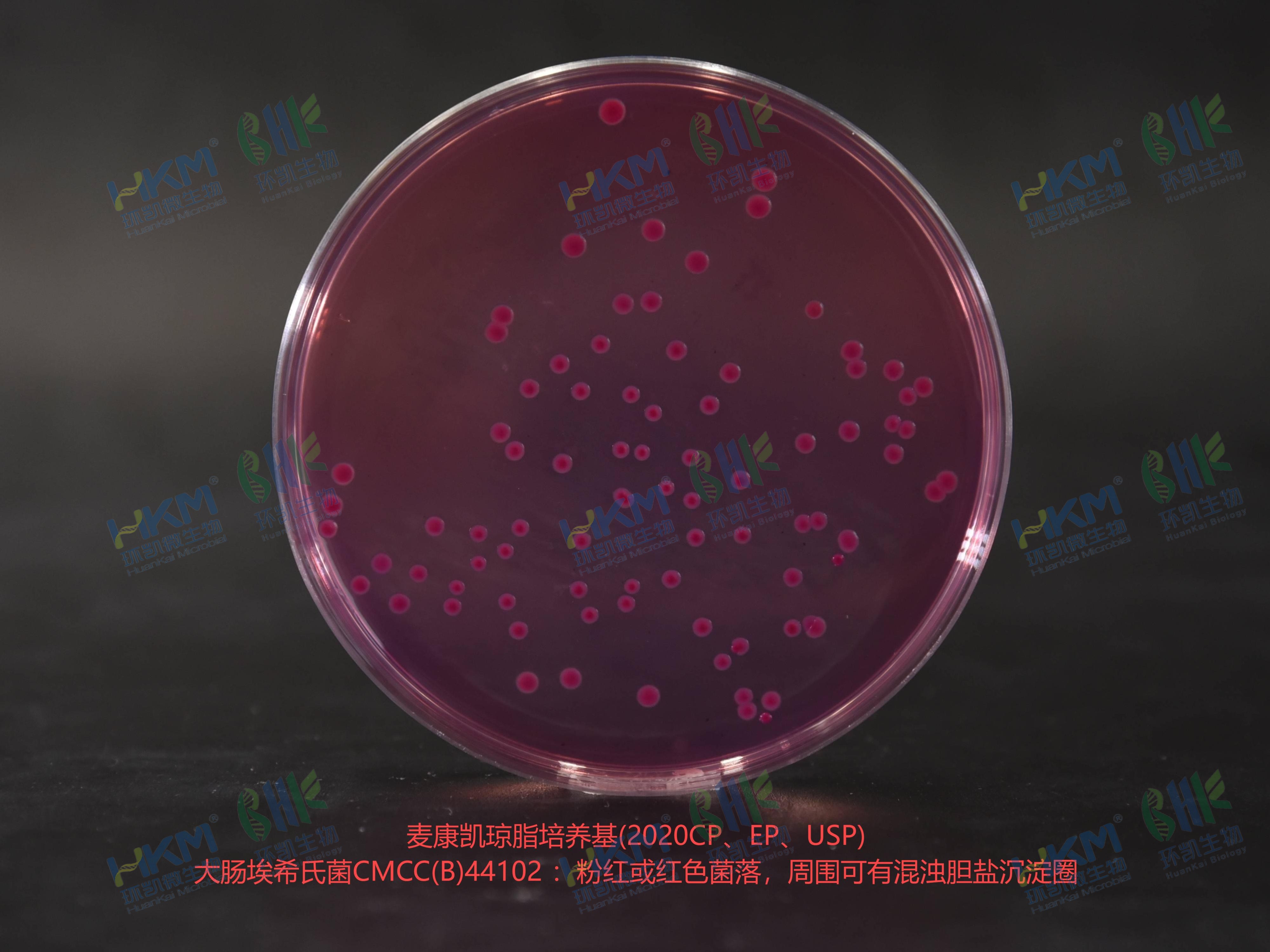 麥康凱瓊脂培養基 乙型副傷寒沙門氏菌CMCC(B)50094