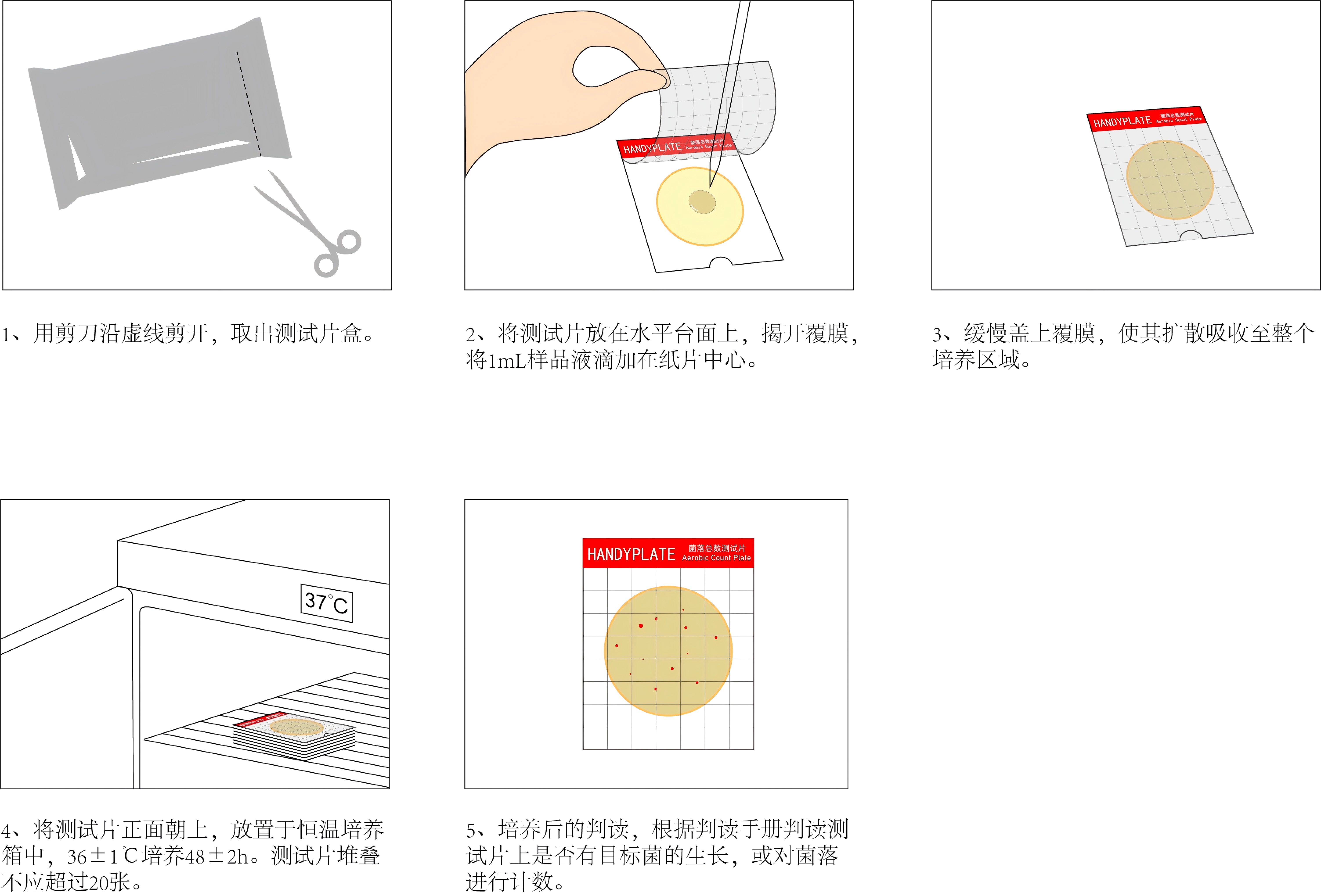 HandyPlate®菌落總數測試片(微生物快速檢測紙片)操作圖解